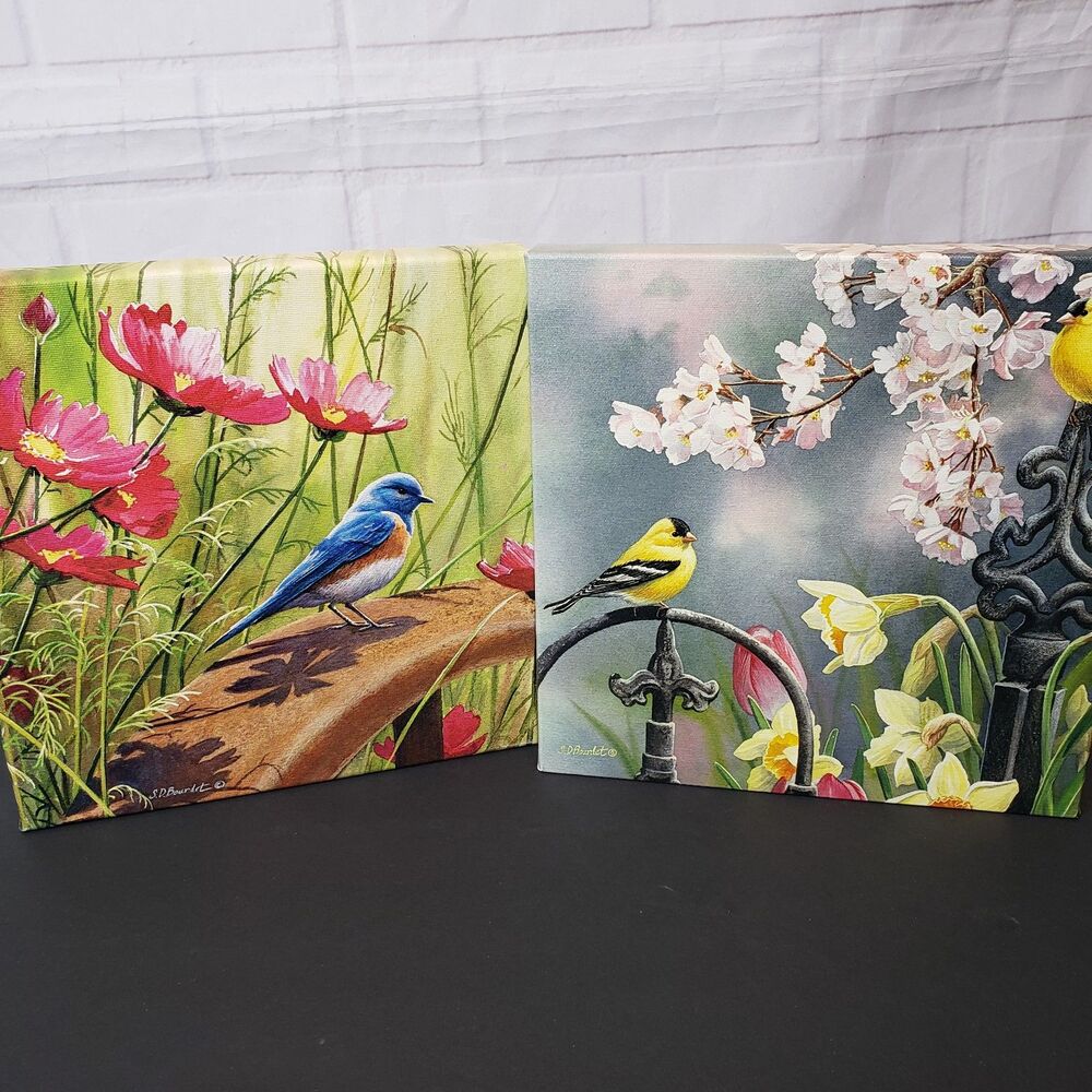 Beautiful Set of 2 Square Canvas Art Bird Prints by Susan Bourdet 10x10